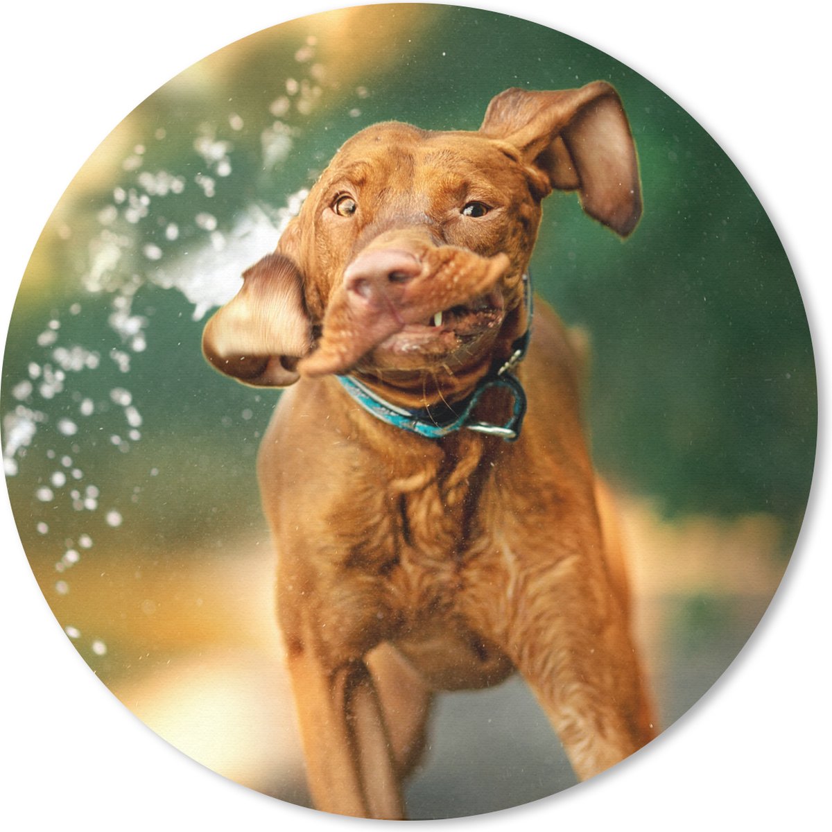 Muismat rond 20x20 cm - Mousepad Nat - Hond - Water - Ronde muismatten