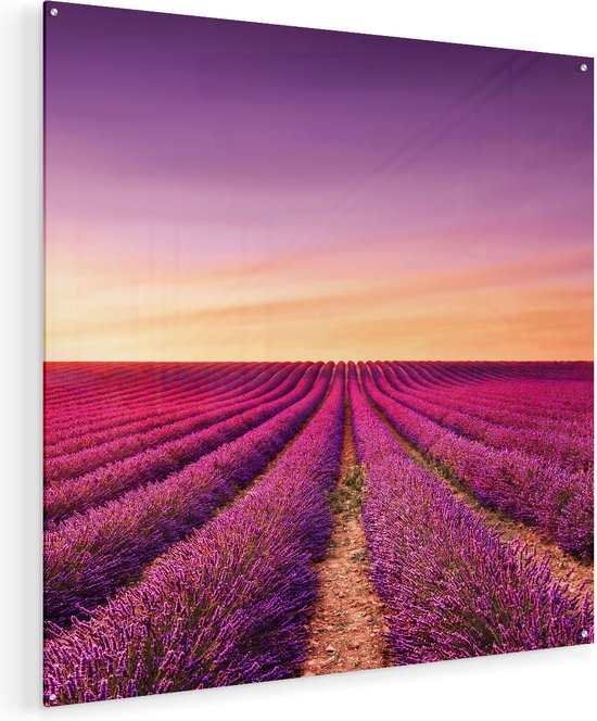 Artaza Glasschilderij - Paarse Lavendel Bloemenveld - 90x90 - Groot - Plexiglas Schilderij - Foto op Glas