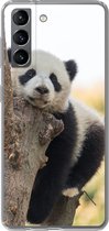 Geschikt voor Samsung Galaxy S21 hoesje - Panda - Boom - Licht - Siliconen Telefoonhoesje