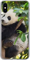 Geschikt voor iPhone Xs Max hoesje - Panda - Dier - Boom - Siliconen Telefoonhoesje
