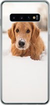 Geschikt voor Samsung Galaxy S10 hoesje - Hond - Sneeuw - Winter - Siliconen Telefoonhoesje