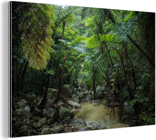 Wanddecoratie Metaal - Aluminium Schilderij Industrieel - Riviertje in tropische jungle - 90x60 cm - Dibond - Foto op aluminium - Industriële muurdecoratie - Voor de woonkamer/slaapkamer