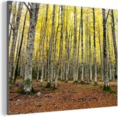 Wanddecoratie Metaal - Aluminium Schilderij Industrieel - Bos - Bomen - Geel - 40x30 cm - Dibond - Foto op aluminium - Industriële muurdecoratie - Voor de woonkamer/slaapkamer