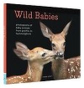 Wild Babies