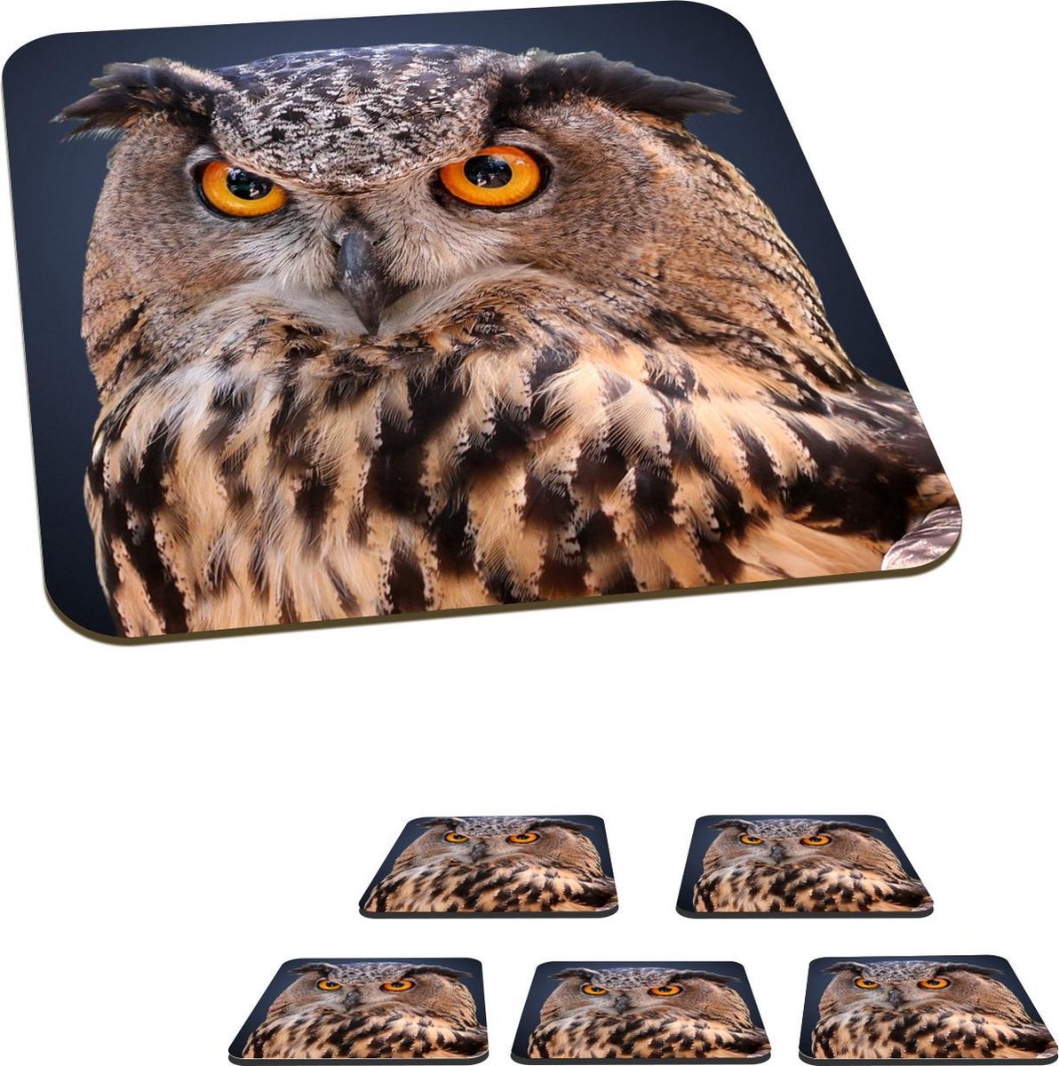 Onderzetters voor glazen - Uil - Vogel - Blauw - 10x10 cm - Glasonderzetters - 6 stuks