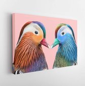 Canvas schilderij - Contemporary art collage. Colorful birds on pink pastel background. -     1237934017 - 40*30 Horizontal