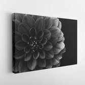 Canvas schilderij - Dahlia Thomas Edison flower in black and white  -     1495734701 - 115*75 Horizontal