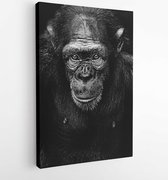 Canvas schilderij - Monochrome photography of a chimpanzee -   605223 - 80*60 Vertical