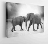 Canvas schilderij -  Productnummer   33394 - 40*30 Horizontal