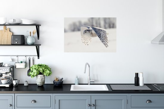 Snowy Owl survole un paysage d'hiver Poster 60x40 cm - Tirage photo sur Poster (décoration murale salon / chambre)