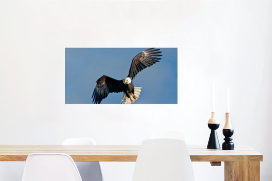 Poster 80x40 cm - Een Amerikaanse zeearend in een blauwe hemel - Posters - Kamer decoratie - Wanddecoratie woonkamer - Muurdecoratie slaapkamer