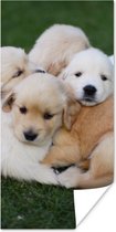 Poster Animaux - Chiots - Chiens - 40x80 cm