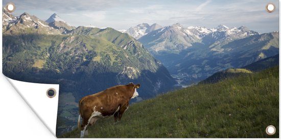 Tuinposter Koe op de bergweide in het Nationaal park Hohe Tauern in Oostenrijk - 80x40 cm - Wanddecoratie Buiten - Tuinposter - Tuindoek - Schuttingposter - Tuinschilderij