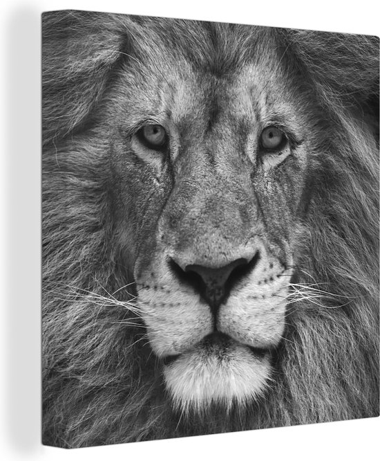 Canvas Schilderij Dierenprofiel Perzische leeuw in zwart-wit - 20x20 cm - Wanddecoratie
