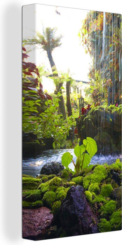 Canvas - Jungle - Waterval - Rivier - Tropisch - Natuur - Planten - Mos - Canvas schilderij - 40x80 - Kamer decoratie - Wanddecoratie