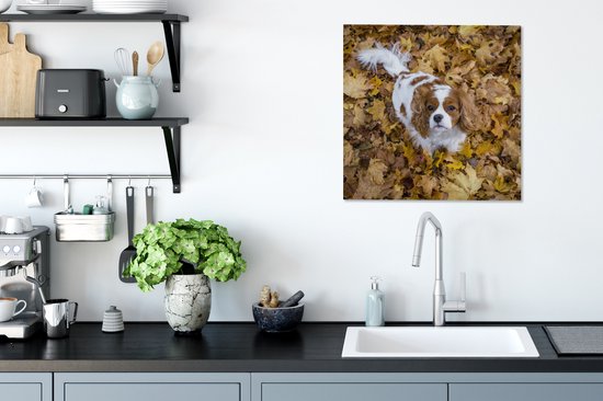 Cavalier King Charles Spaniel sous les feuilles d'automne Toile 50x50 cm - Tirage Photo sur Toile Peinture (Décoration murale Salon / Chambre) / Animaux domestiques Peintures sur Toile