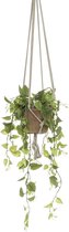 Hangplant Philodendron - Polyester - Groen - 90 cm hoog