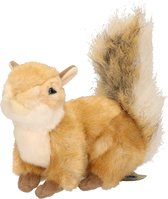 Beschrijven pak Begrijpen Pluche eekhoorn knuffel 20 cm speelgoed - Eekhoorns bosdieren... | bol.com