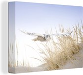 Snowy Owl survole la plage Toile 80x60 cm - Tirage photo sur toile (Décoration murale salon / chambre)