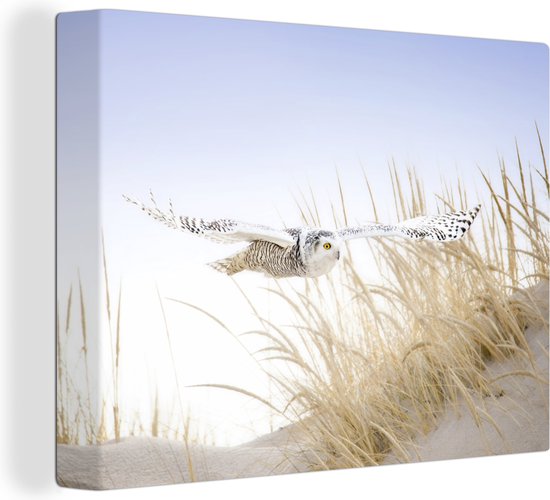 Canvas Schilderij Sneeuwuil vliegt over het strand - 80x60 cm - Wanddecoratie