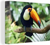 Un toucan regarde du haut d'une branche Toile 80x60 cm - Tirage photo sur toile (Décoration murale salon / chambre)