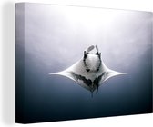 Canvas Schilderij Vissen - Water - Tropische vissen - 90x60 cm - Wanddecoratie