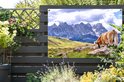 Banner met koe en bergen, hangend aan een donkere houten schutting.
