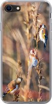 Geschikt voor iPhone SE 2020 hoesje - Vogels - Takken - Bos - Siliconen Telefoonhoesje