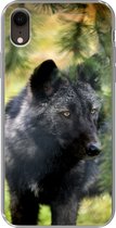 Coque iPhone XR - Loup - Macro - Feuilles - Siliconen