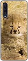 Geschikt voor Samsung Galaxy A30s hoesje - Cheeta - Jong - Gras - Siliconen Telefoonhoesje