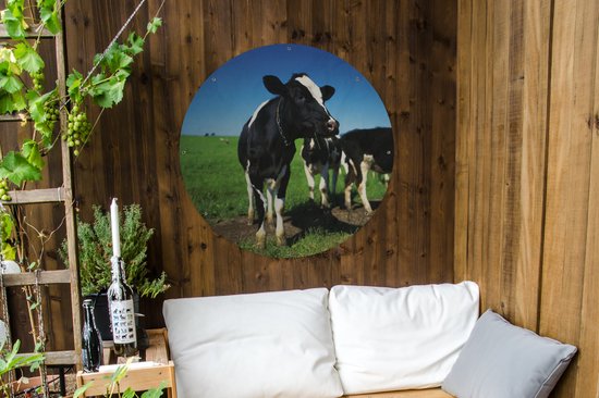 Garden Circle Vaches - Herbe - Animaux - 90x90 cm - Affiche de Jardin Ronde - Extérieur