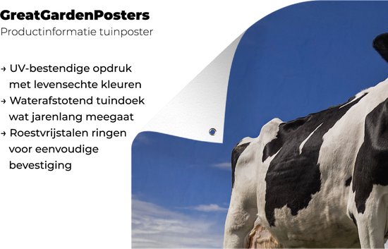 Affiche de jardin Vache - Herbe - Blauw - Animaux - 80x40 cm