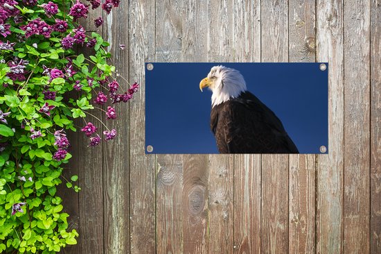 Poster de jardin Aigle - Gros plan - Branche - 60x30 cm - Toile de jardin - Poster extérieur