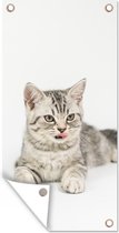 Tuinposter Kitten - Wit - Tong - Meisjes - Kinderen - Jongens - Kindje - 40x80 cm - Wanddecoratie Buiten - Tuinposter - Tuindoek - Schuttingposter - Tuinschilderij