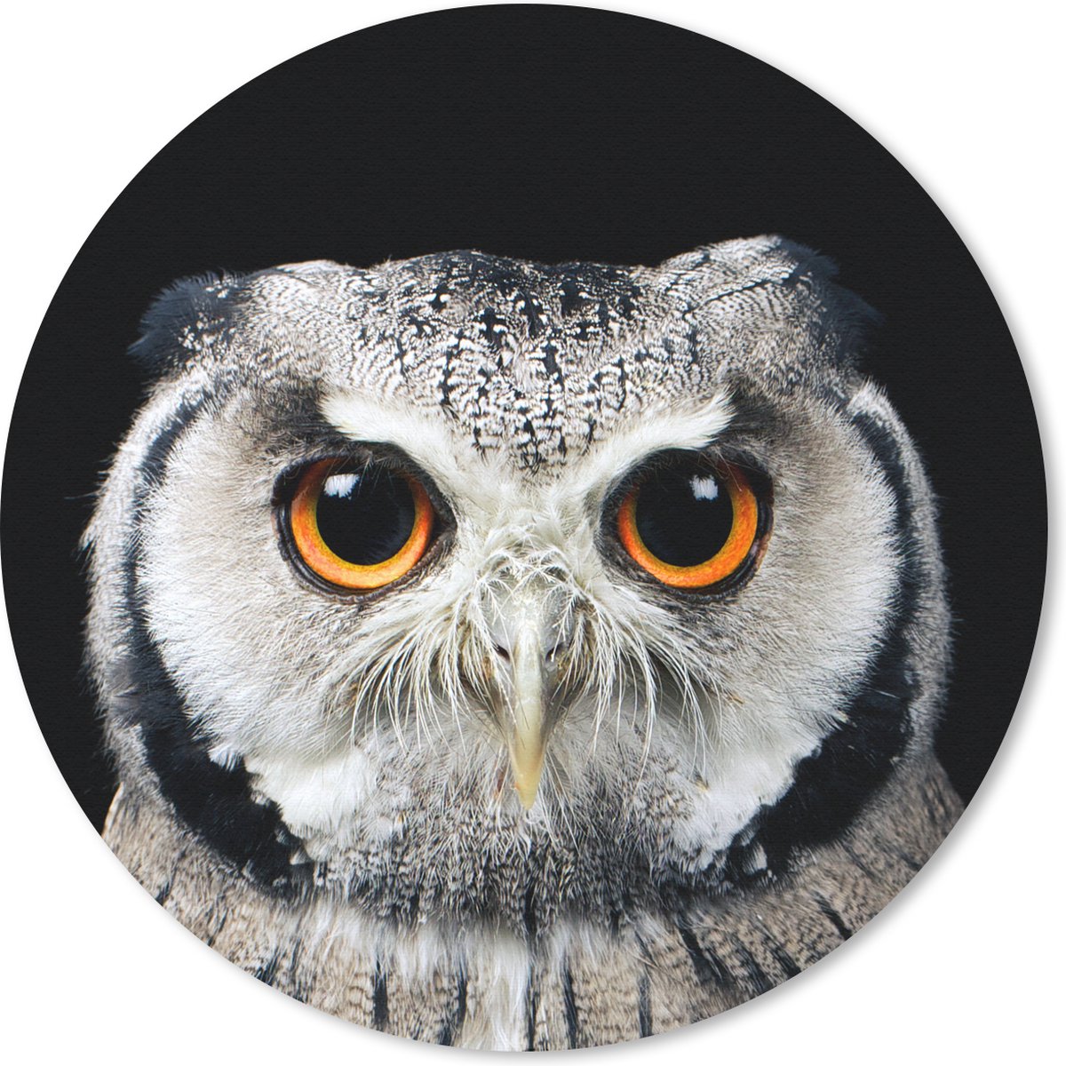 Muismat rond 30x30 cm - Mousepad Close-up uil - Ronde muismatten