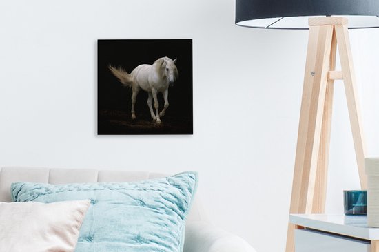 Cheval Wit devant une toile de fond noir 2cm 20x20 cm - petit - Tirage photo sur Toile (Décoration murale salon / chambre) / Animaux sauvages Peintures sur toile