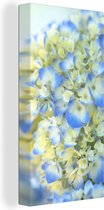 Canvas Schilderij Close-up van een lichtblauwe met gele hortensia - 20x40 cm - Wanddecoratie