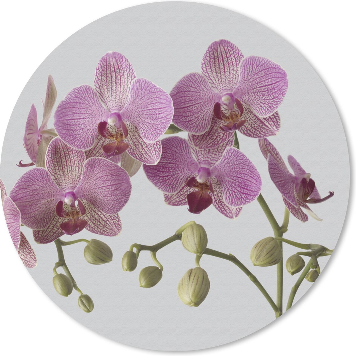 Muismat rond 30x30 cm - Mousepad Orchideeën op grijze achtergrond - Ronde muismatten