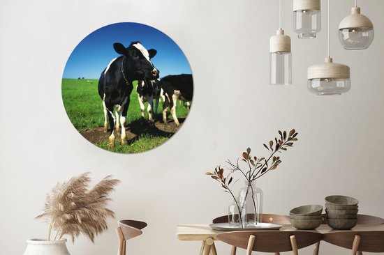 WallCircle - Cercle Mural - Cercle Mural - Vaches - Herbe - Animaux - Aluminium - Dibond - 90x90 cm - Intérieur et Extérieur