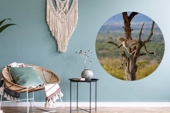 WallCircle - Wall Circle - Wall Circle Indoor - Léopard - Arbre - Animal - 140x140 cm - Décoration murale - Peintures Ronds