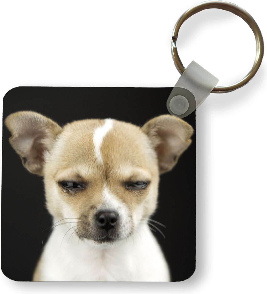 Sleutelhanger - Uitdeelcadeautjes - Hond - Huisdieren - Portret - Plastic |  bol.com