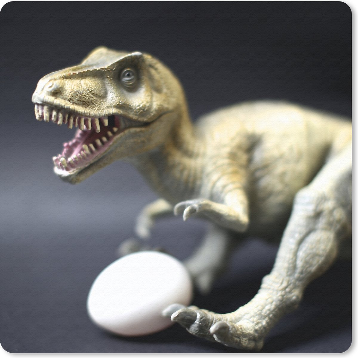 Muismat 20x20 cm - Mousepad Dinosaurus - Ei - Wit - Muismatten