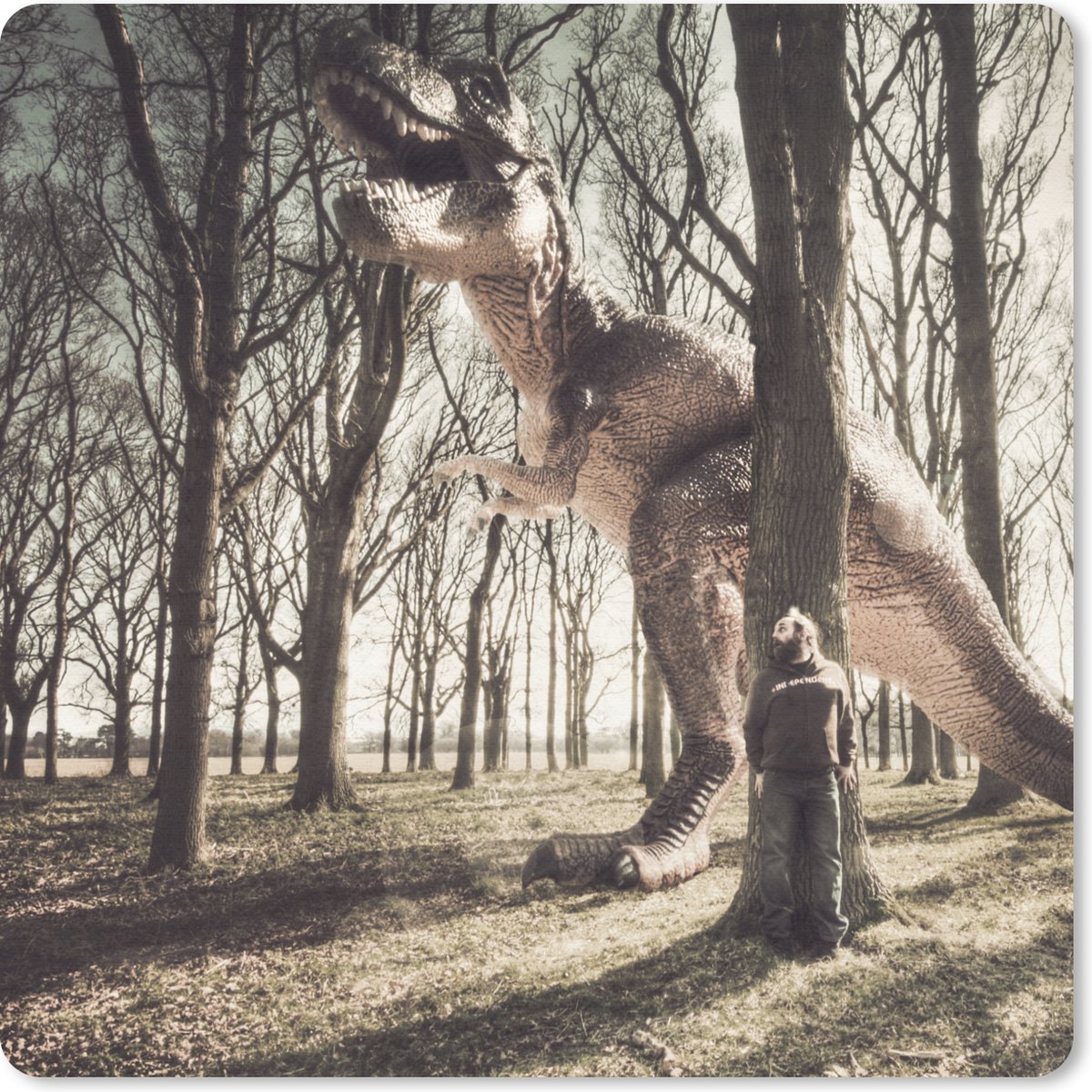 Muismat 30x30 cm - Mousepad Dinosaurus - Bos - Boom - Muismatten
