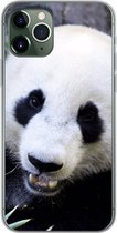 Geschikt voor iPhone 11 Pro hoesje - Panda - Dier - Bladeren - Siliconen Telefoonhoesje