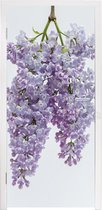 Deursticker Een hangende seringen tros - 75x205 cm - Deurposter