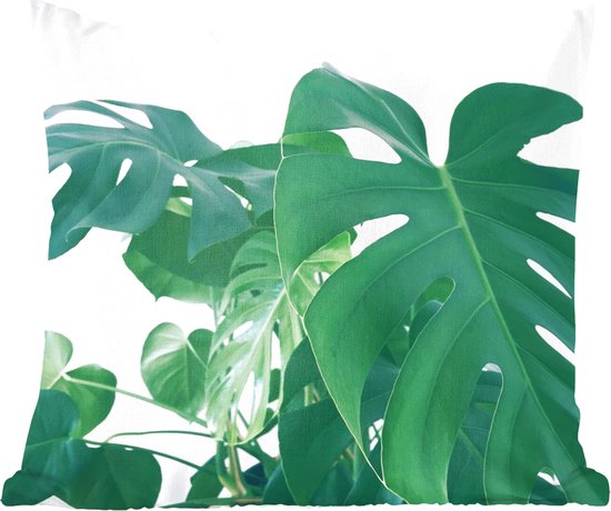 Sierkussens - Kussentjes Woonkamer - 50x50 cm - Enorme botanische bladeren van de gatenplant op een witte achtergrond