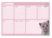 Grupo Erik Scheurkalender Studio Pets Cats A4 Roze 54 Pagina's