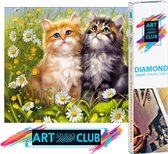 Artstudioclub®  Diamond painting volwassenen  Twee katten  25 x 30 cm