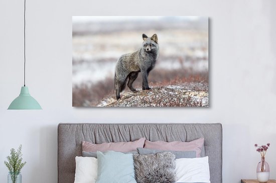 Renard gris dans un paysage enneigé 180x120 cm - Tirage photo sur toile (Décoration murale salon / chambre) / Animaux sauvages Peintures sur toile XXL / Groot format!