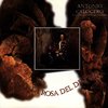 Antonio Calogero - La Rosa Del Deserto (CD)